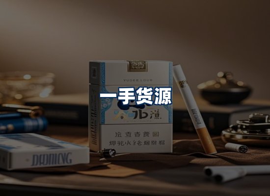 专业团队办公环境